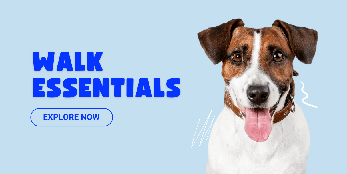 Collars, Harnesses and Leashes - WaggingTailsMall