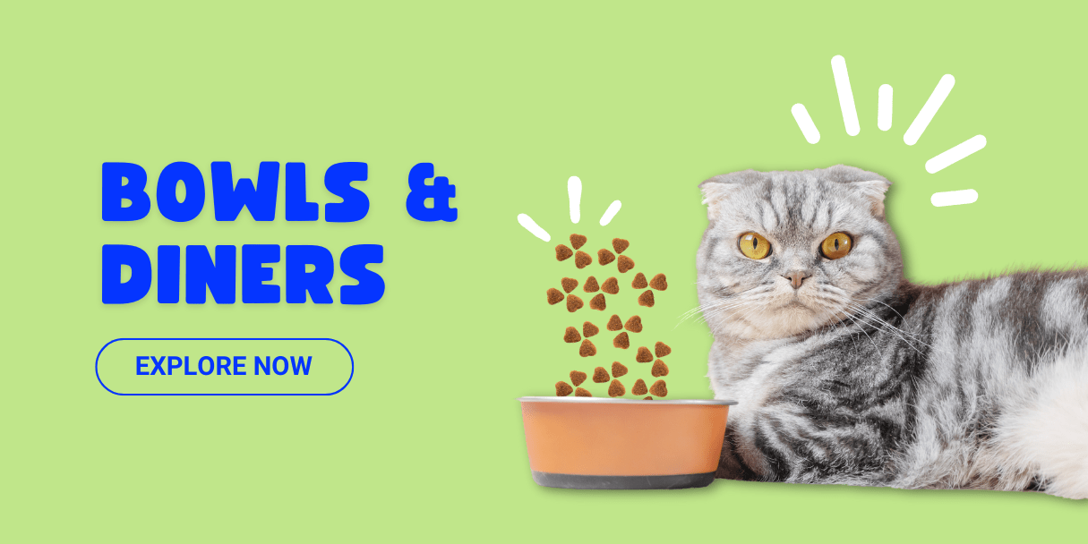 Watering and Feeding Supplies - WaggingTailsMall