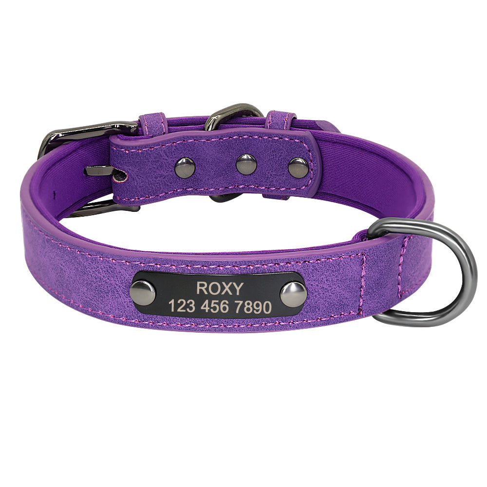 Engraved Lettering On The Neck Ring Of Dogs And Cats To Prevent Loss