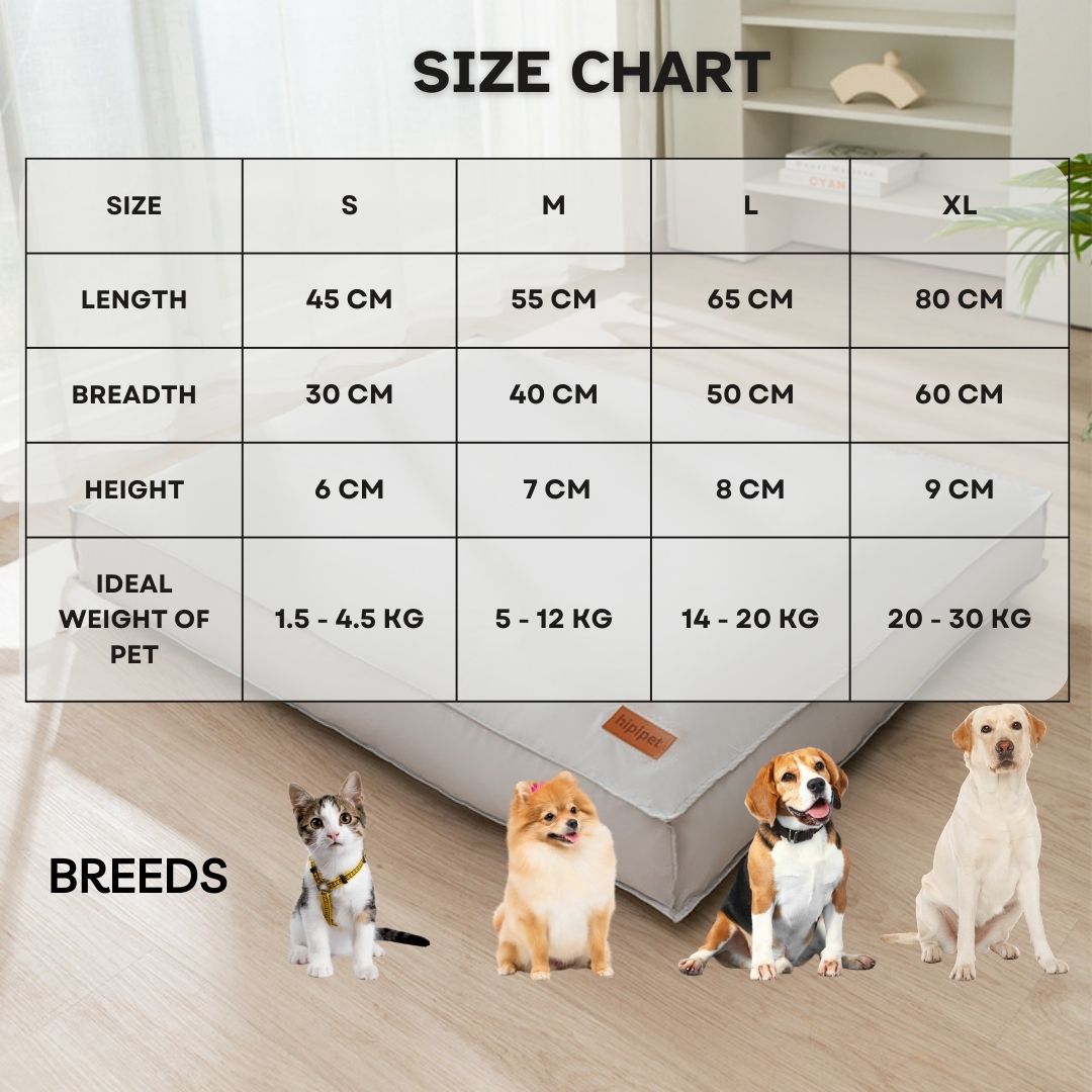 Water Resistant | Hair Resistant | Easy Clean Bed Mat For Small Medium Big Dog Cat