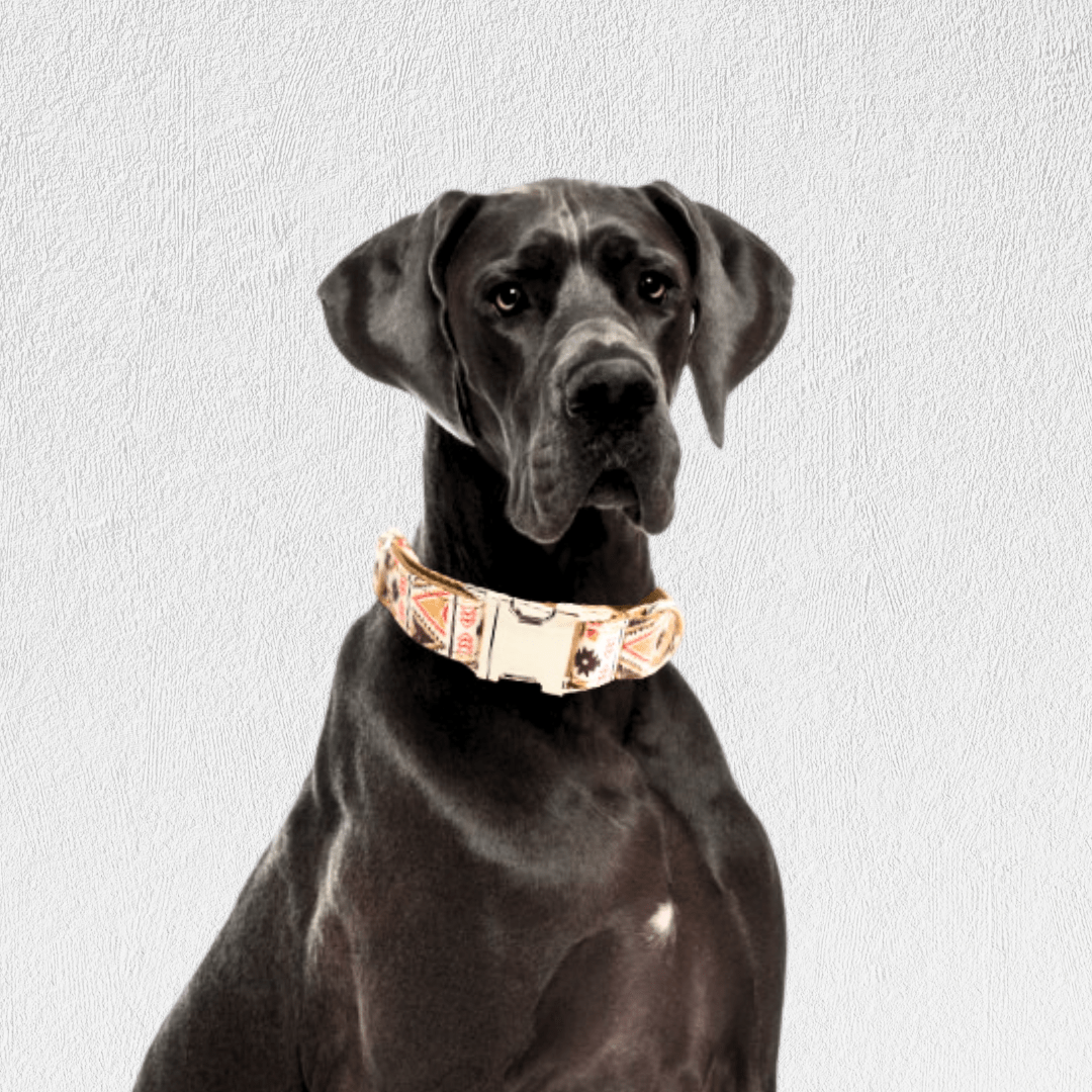 Boho Chic Dog Collar - WaggingTailsMall - Free Shipping - Guaranteed Returns!
