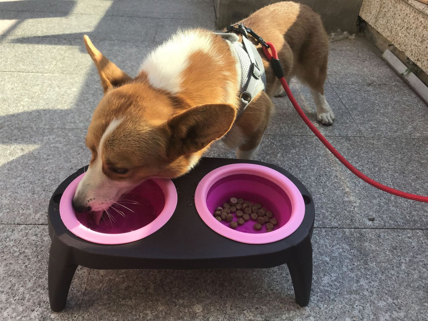 Folding pet bowl - WaggingTailsMall - Free Shipping - Guaranteed Returns!