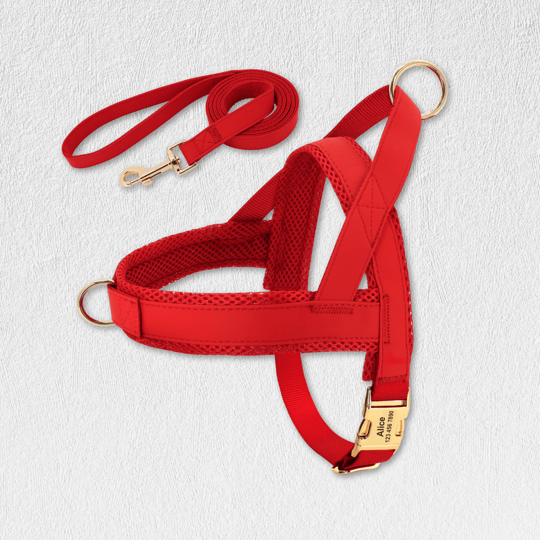 Personalized Dog Harness Leash Set - WaggingTailsMall - Free Shipping - Guaranteed Returns!