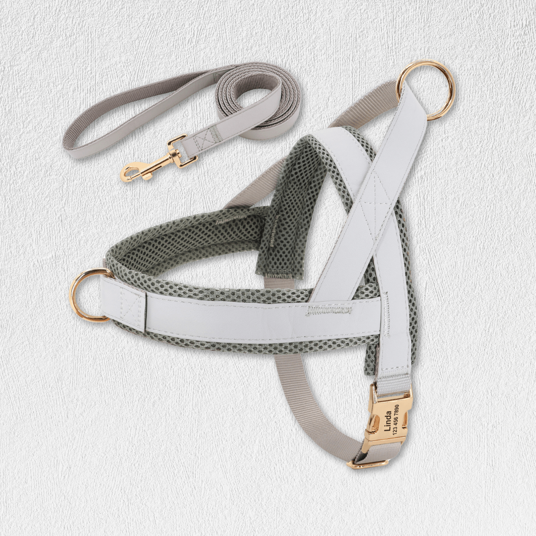 Personalized Dog Harness Leash Set - WaggingTailsMall - Free Shipping - Guaranteed Returns!