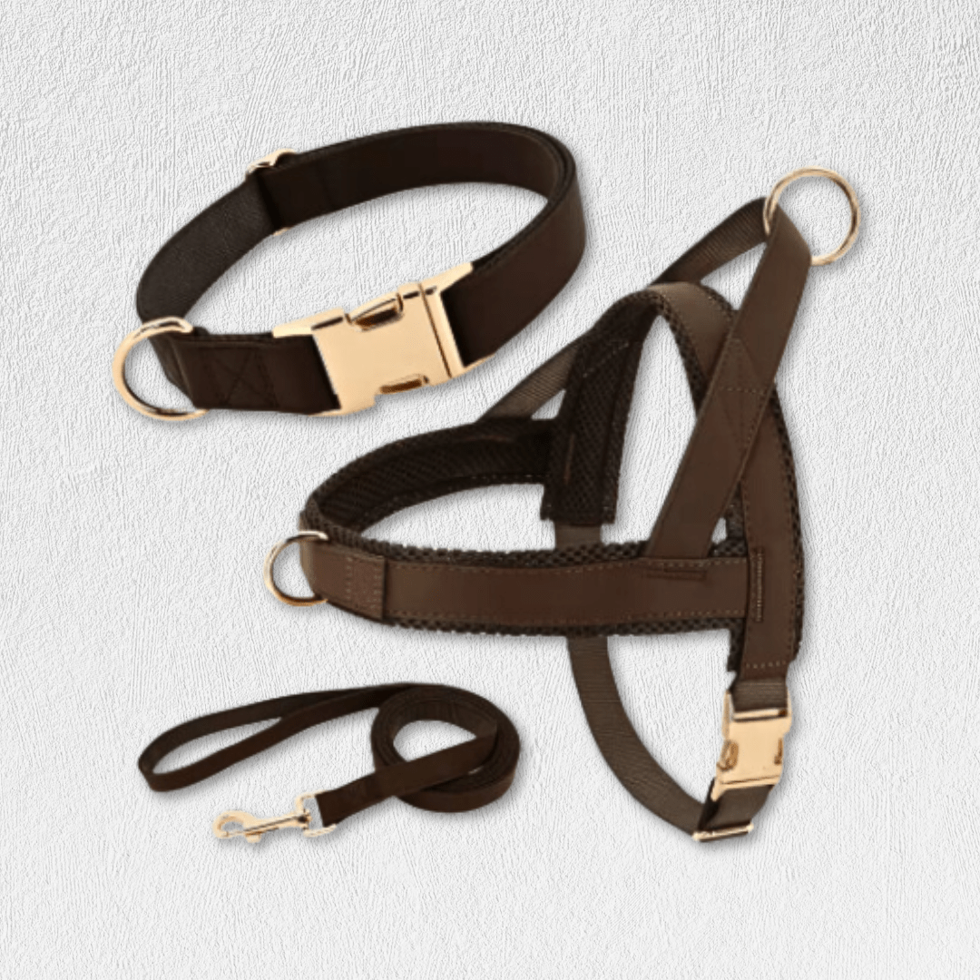 Personalized Dog Harness Leash Set - WaggingTailsMall - Free Shipping - Guaranteed Returns!