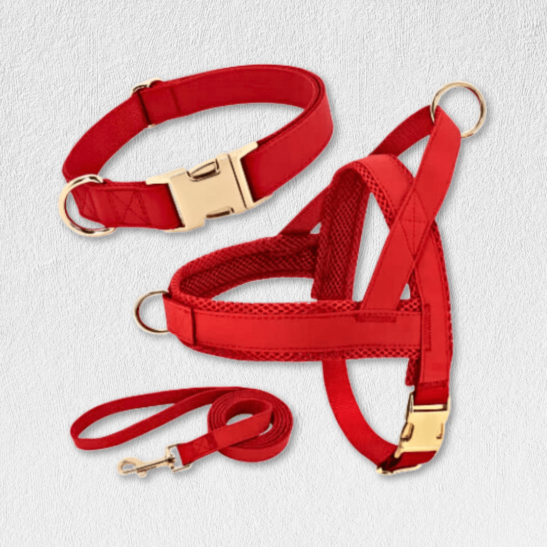 Personalized Dog Harness Leash Set - WaggingTailsMall - Free Shipping - Guaranteed Returns!