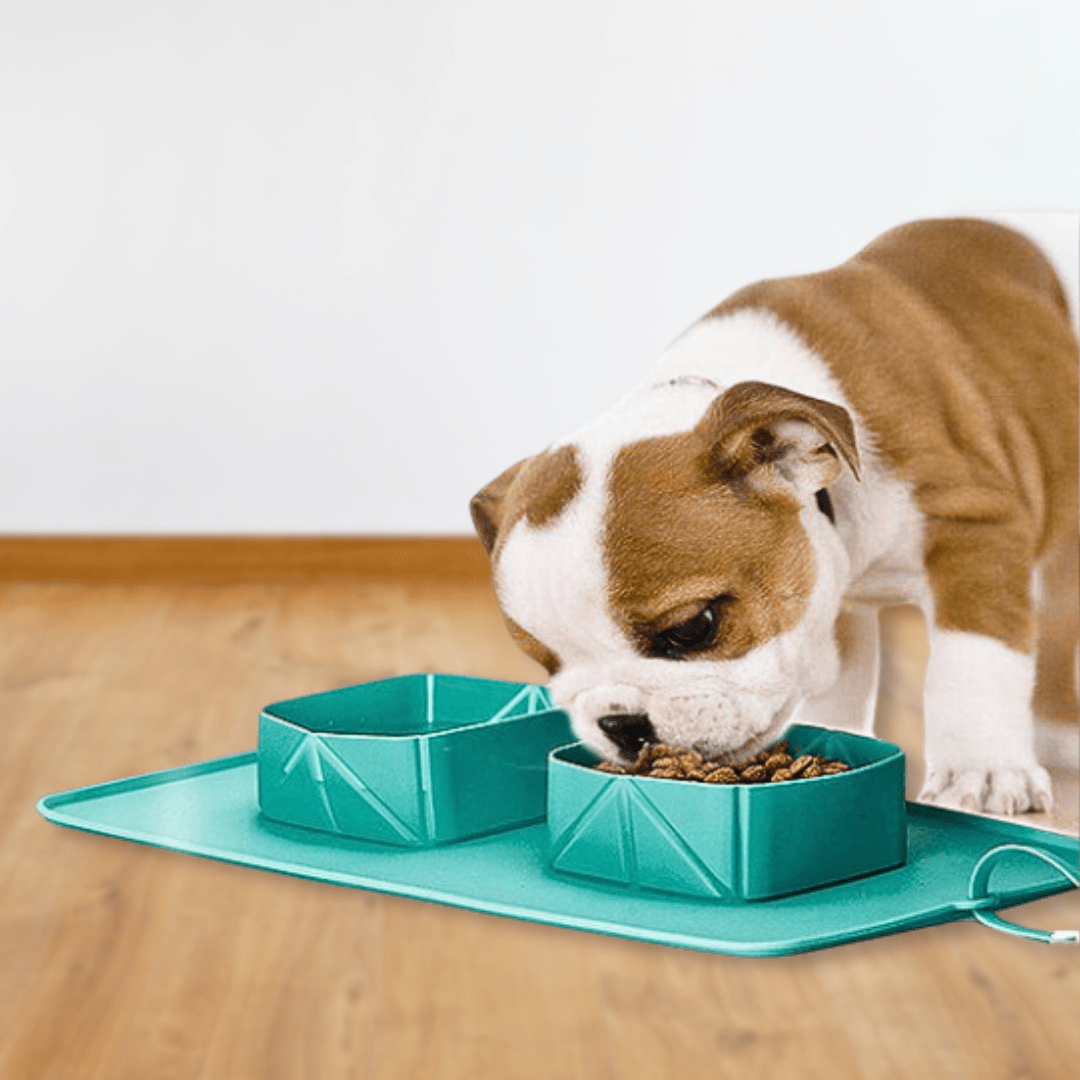 Pet Bowl Silicone Foldable and Portable Pet Bowl - WaggingTailsMall - Free Shipping - Guaranteed Returns!