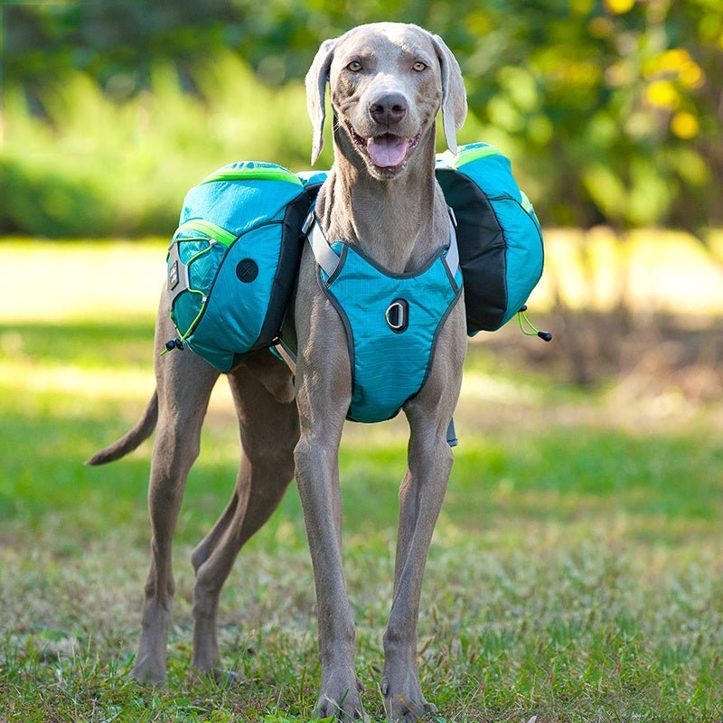 Pet self backpack - WaggingTailsMall - Free Shipping - Guaranteed Returns!