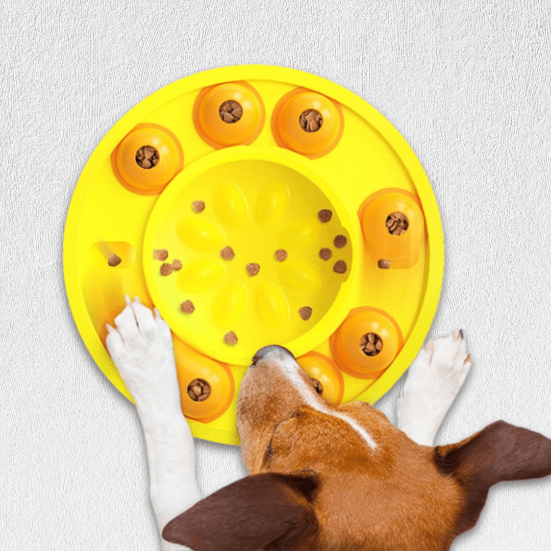 Train Pet Supply Turntable Dog Bowl - WaggingTailsMall - Free Shipping - Guaranteed Returns!
