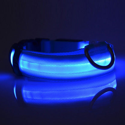 Safety Dog LED Collar
