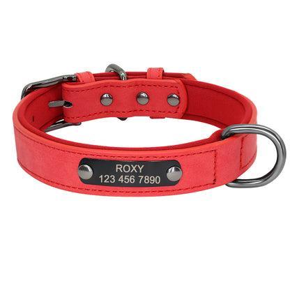 Engraved Lettering On The Neck Ring Of Dogs And Cats To Prevent Loss