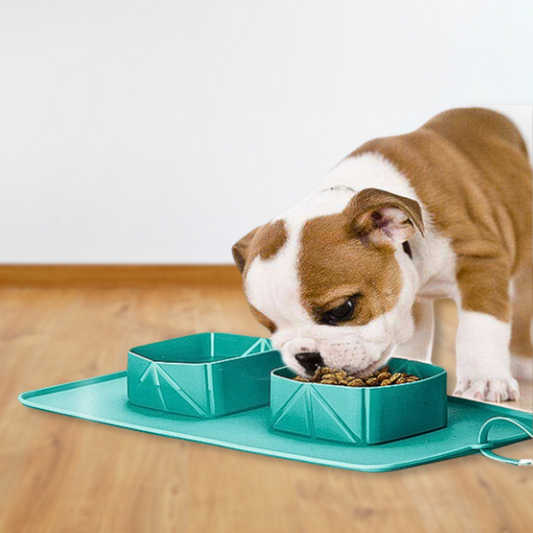 Pet Bowl Silicone Foldable and Portable Pet Bowl