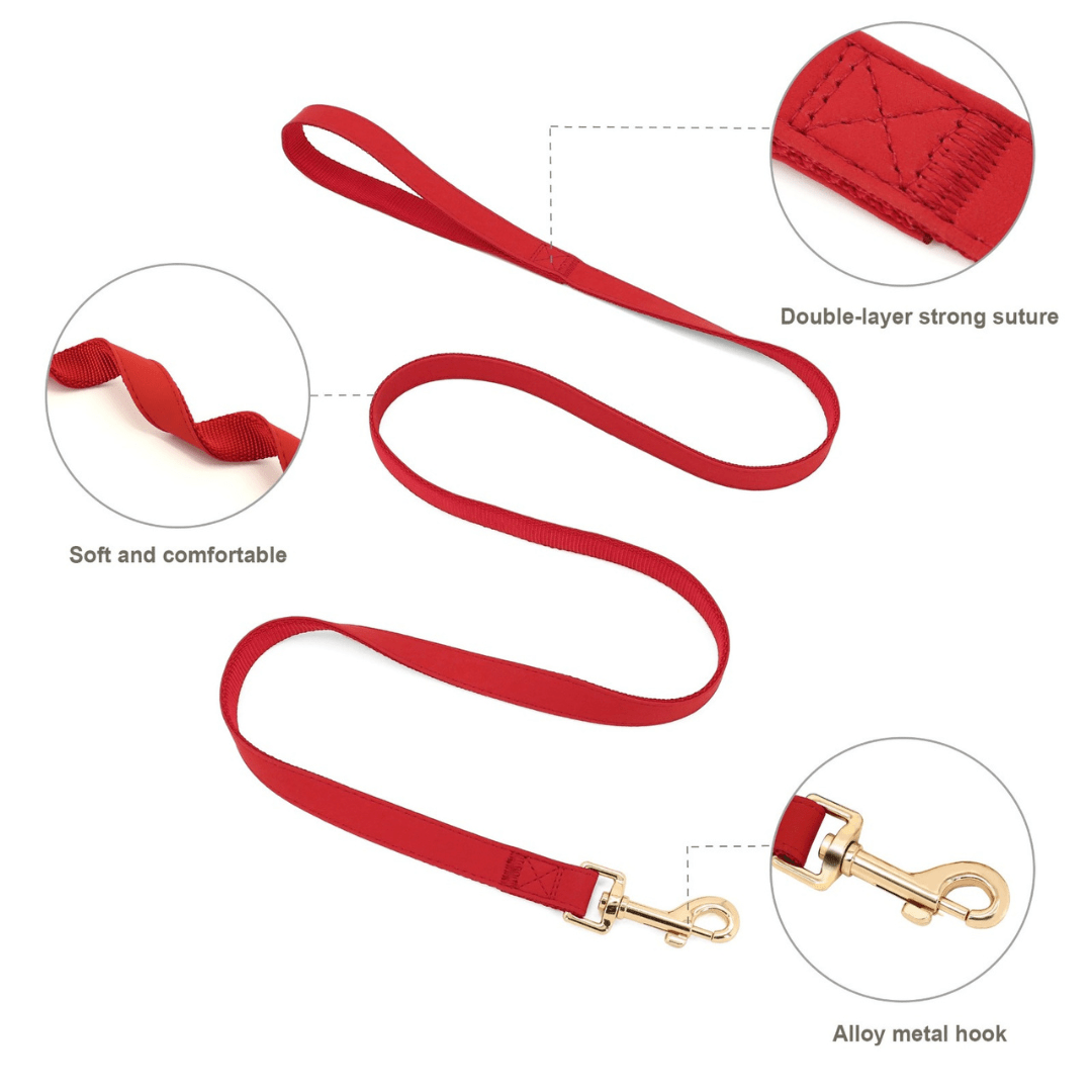 Personalized Dog Harness Leash Set - WaggingTailsMall - Free Shipping - Guaranteed Returns!