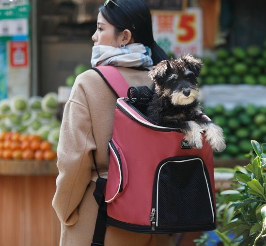 Pet Dog Backpack - WaggingTailsMall - Free Shipping - Guaranteed Returns!
