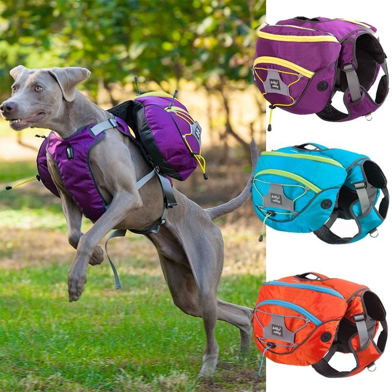 Pet self backpack - WaggingTailsMall - Free Shipping - Guaranteed Returns!